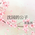 沈園的公子 沈園的公子