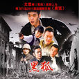 黑狐(2011年張若昀、李曼主演電視劇) 黑狐(2011年張若昀、李曼主演電視劇)