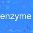 enzyme enzyme