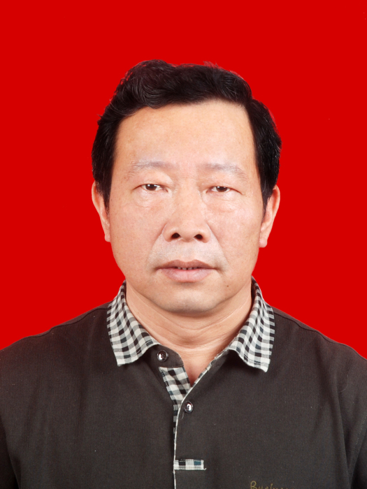 葉昌明(浙江省麗水市松陽縣葉村鄉副科級組織員) 葉昌明(浙江省麗水市松陽縣葉村鄉副科級組織員)