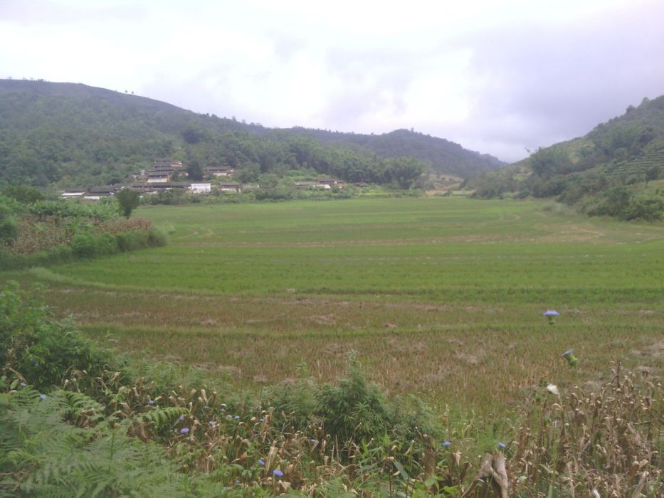 那棵落村 那棵落村