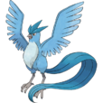 急凍鳥 急凍鳥