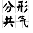 分形共氣