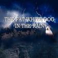 The Fat White Dog in the Rain The Fat White Dog in the Rain