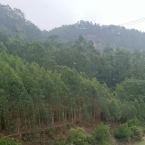 雙河水庫
