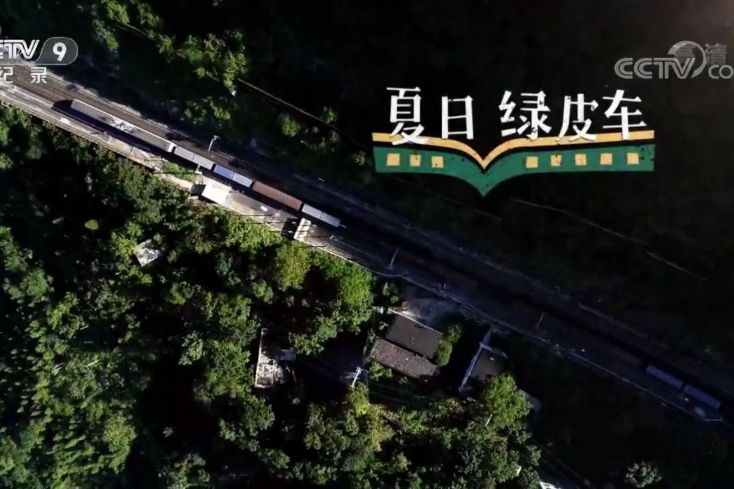 夏日綠皮車 夏日綠皮車