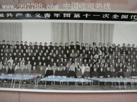 中國共產主義青年團第十一次全國代表大會