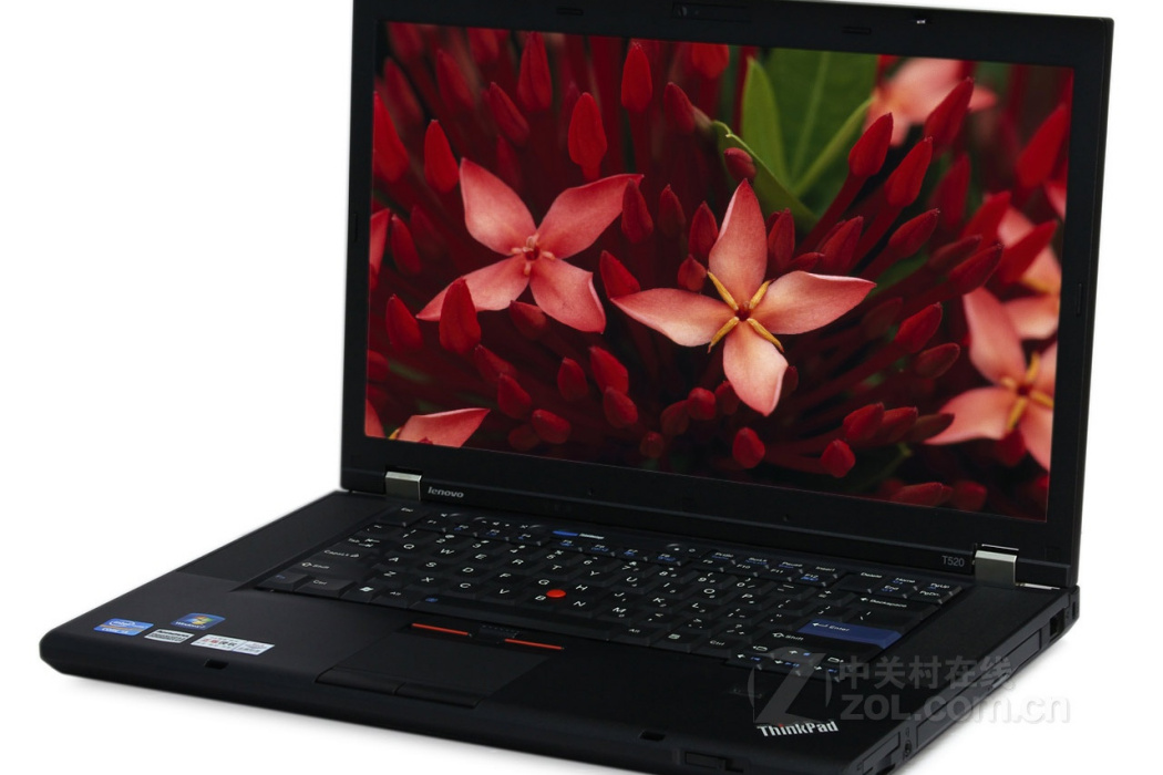 ThinkPad T520(424254C) ThinkPad T520(424254C)