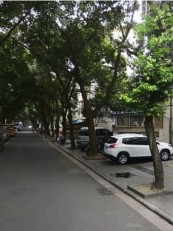 南九中路19 南九中路19