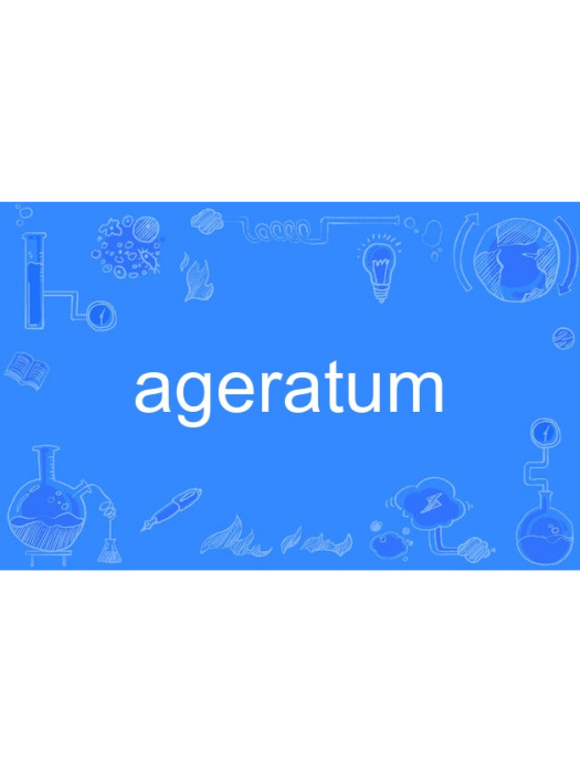 ageratum ageratum