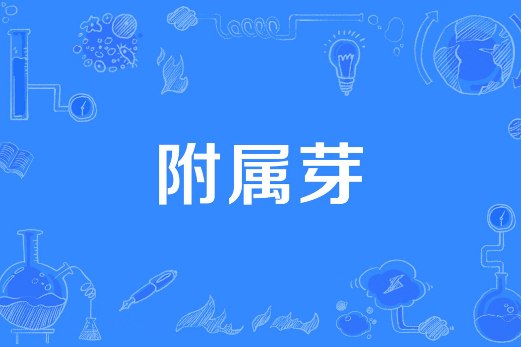 附屬芽
