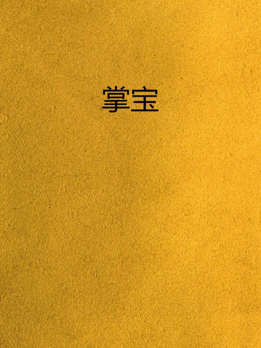 掌寶 掌寶