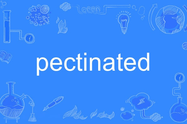 pectinated pectinated