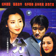 分流(2006年何賽飛主演電視劇) 分流(2006年何賽飛主演電視劇)