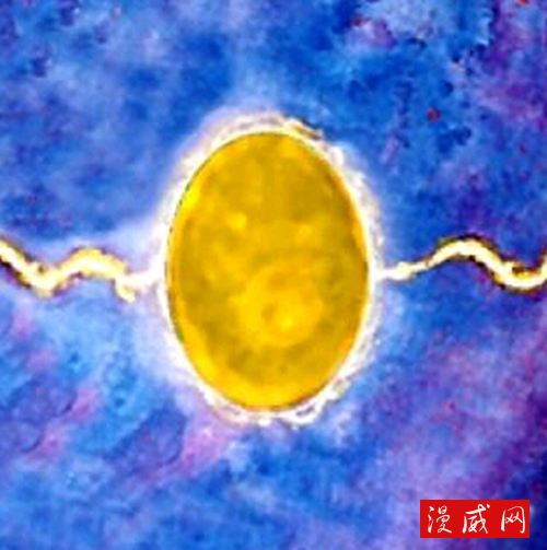 時間之石 時間之石