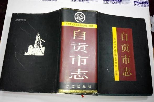 自貢市志 自貢市志
