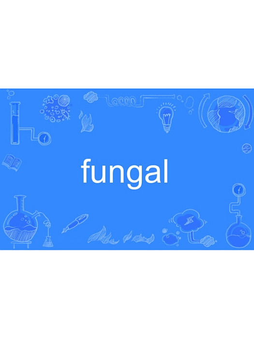fungal fungal