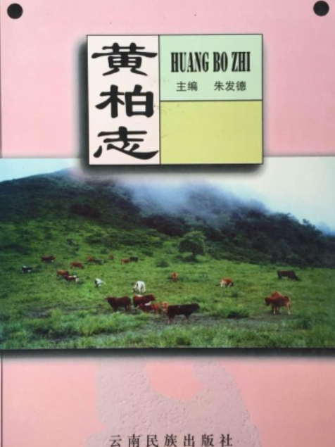 黃柏志 黃柏志