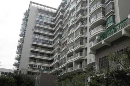 興湖路 興湖路