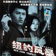 紐約風暴 紐約風暴
