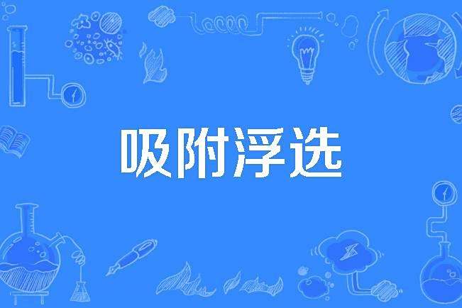 吸附浮選 吸附浮選