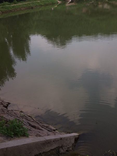 洞西頭村 洞西頭村