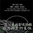 EXO之迷霧將揭 EXO之迷霧將揭