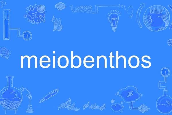 meiobenthos meiobenthos