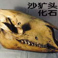 驢頭狼(神農架一種驢頭狼身的怪物)