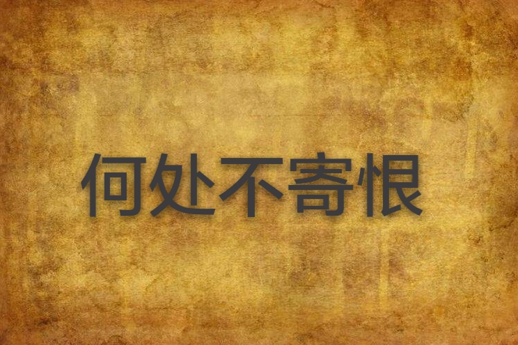 何處不寄恨