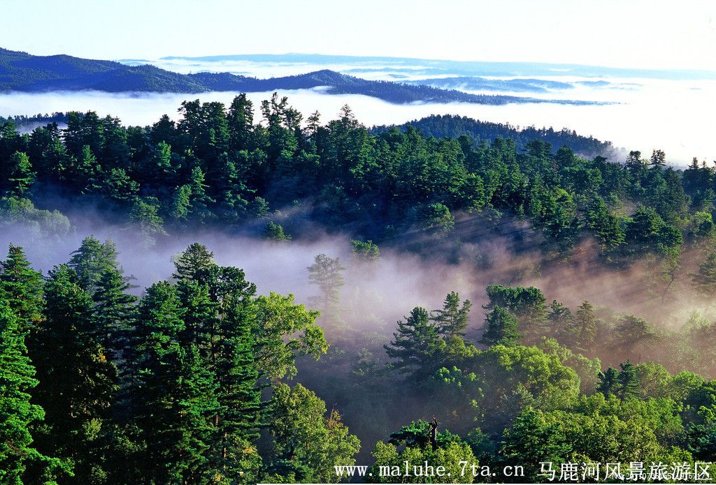 安樂屯村 安樂屯村