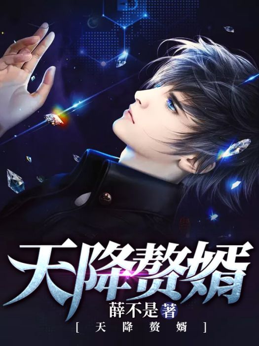 天降贅婿(薛不是創作的網路小說) 天降贅婿(薛不是創作的網路小說)