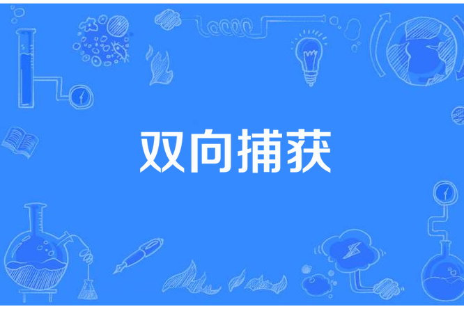 雙向捕獲 雙向捕獲