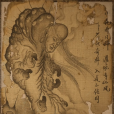 琴螂仙 琴螂仙
