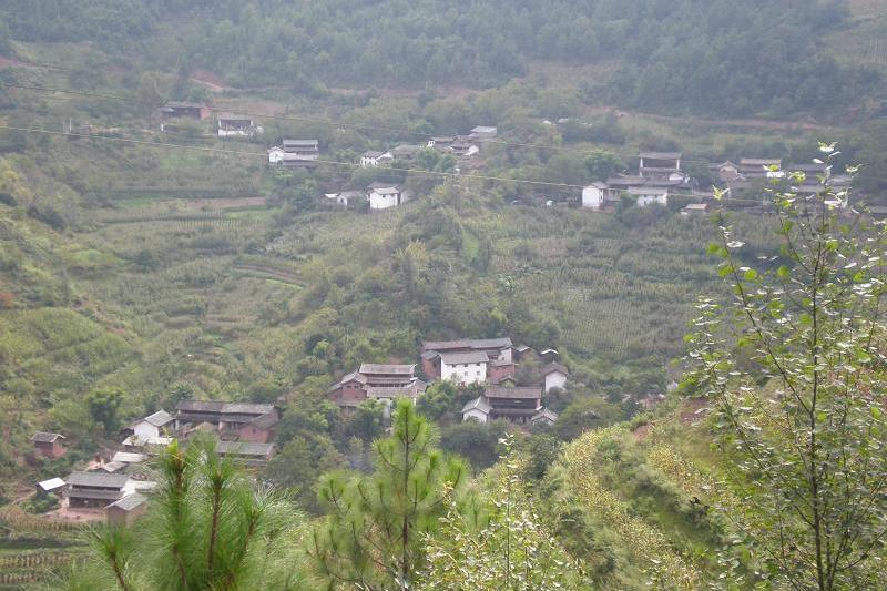 和哨村 和哨村