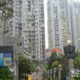 陽光心悅 陽光心悅