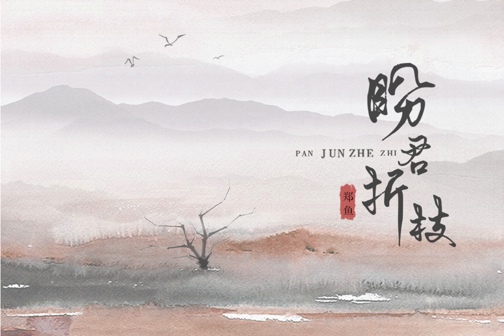 盼君折枝 盼君折枝