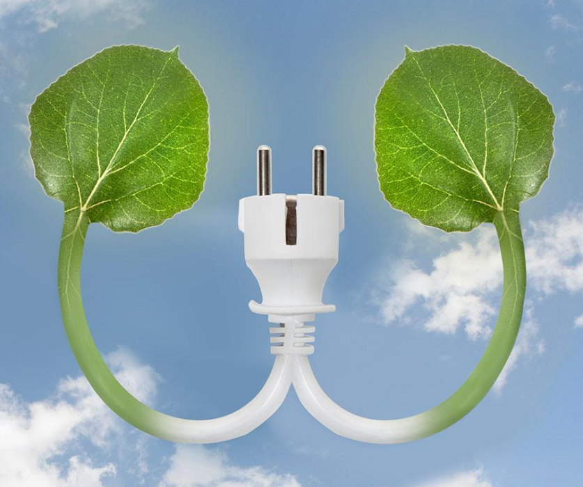 綠葉發電 綠葉發電