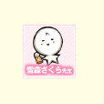雪森櫻 雪森櫻