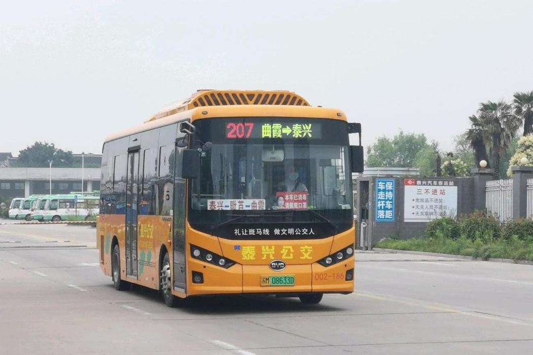 泰興公交207路 泰興公交207路