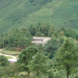 梭山村(雲南新平縣平掌鄉下轄村)