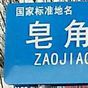 皂角樹村(甘肅省天水市甘谷縣新興鎮下轄村)