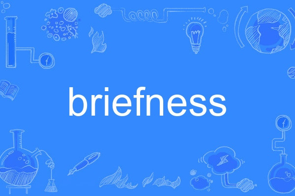 briefness briefness