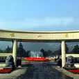 龍山墓園 龍山墓園