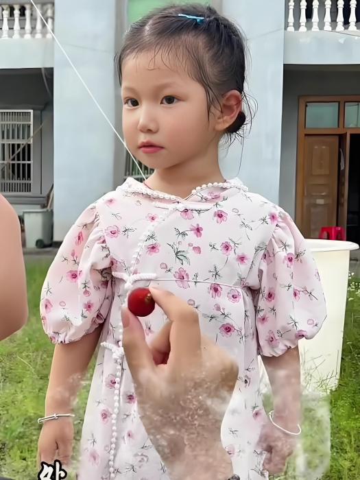 阿珍姨 阿珍姨