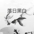 落日黑白 落日黑白