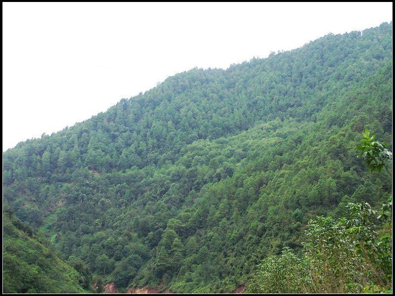 保邑村 保邑村