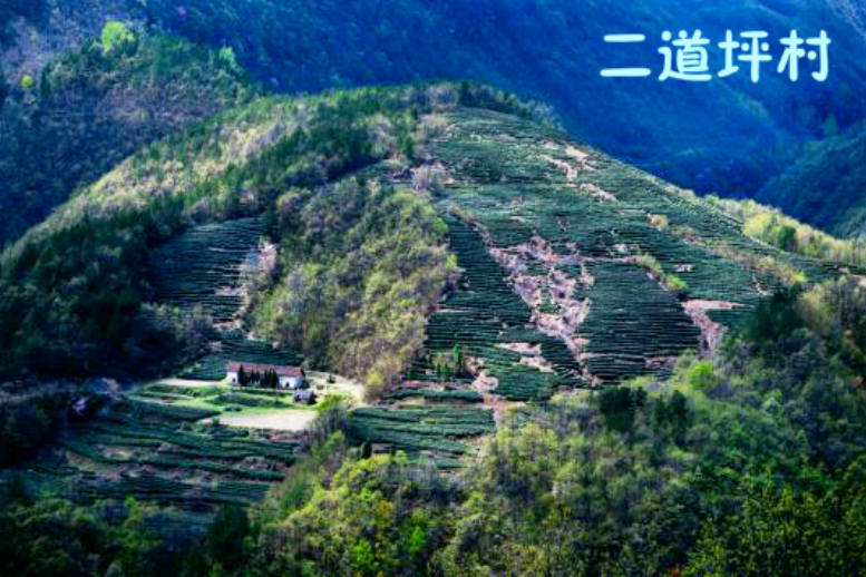 二道坪村(雲南省曲靖市會澤縣上村鄉二道坪村) 二道坪村(雲南省曲靖市會澤縣上村鄉二道坪村)