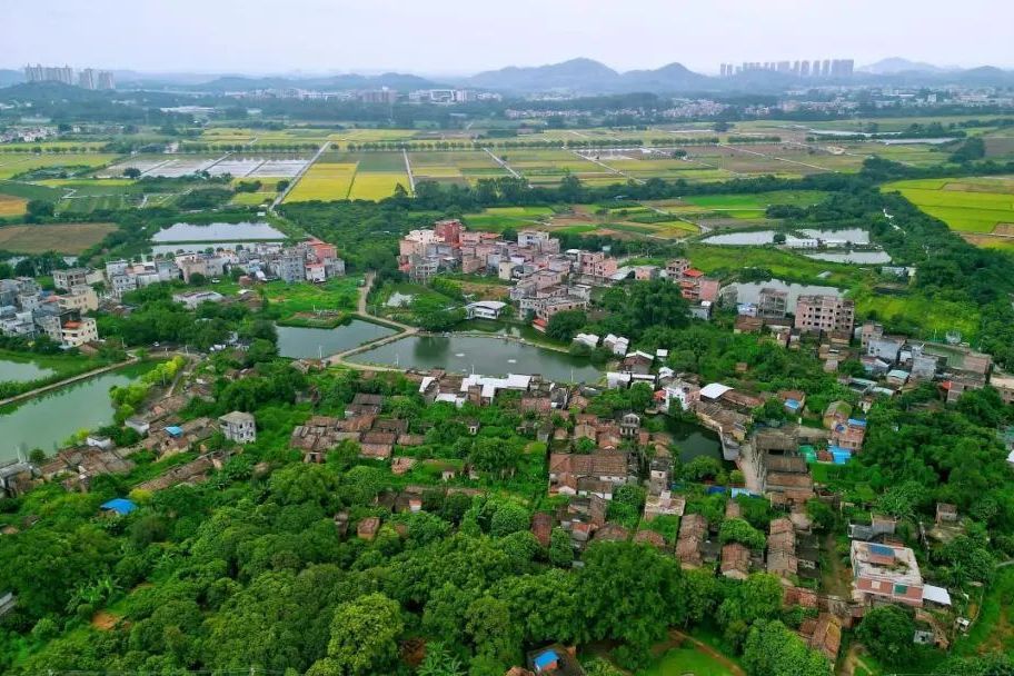 龍新村(廣東省廣州市增城區朱村街道下轄村) 龍新村(廣東省廣州市增城區朱村街道下轄村)