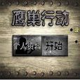 鷹巢行動 鷹巢行動